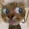 LemmeSuckleThoseToes