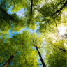 Nature222