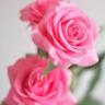 Pinkk