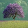 florum