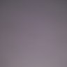Sheikh_