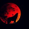 Kittu_98