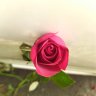 Ankush07