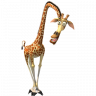 Melman