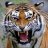 rohanverma02
