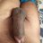 Hardkore_aadi34