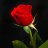 Scarlet