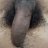 Indianmard