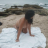 Sanjana4U
