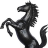 TheBlackStallion