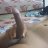 Mumbaibullfun