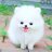 Cute_Ishu