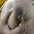 Khushi_ka_CUCK_bf