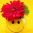 Mjfun4xxx