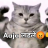 DDude