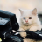 sid_23