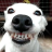 ILetTheDogsOut