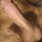 Devid_