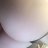 GinaAnalSlut19