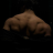 decentguy05