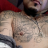 Rockubaby38
