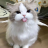Sassy_Munchkin