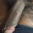 bihariyoungboy23