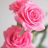 Pinkk