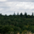 PunjabiCock_69