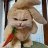 BigBunny16