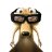 Vijayblr