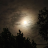 payel_20