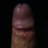 Phon12