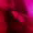Iamhorny_22