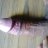 Tough_guy