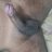 sinner__snm