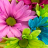 ritu_F23